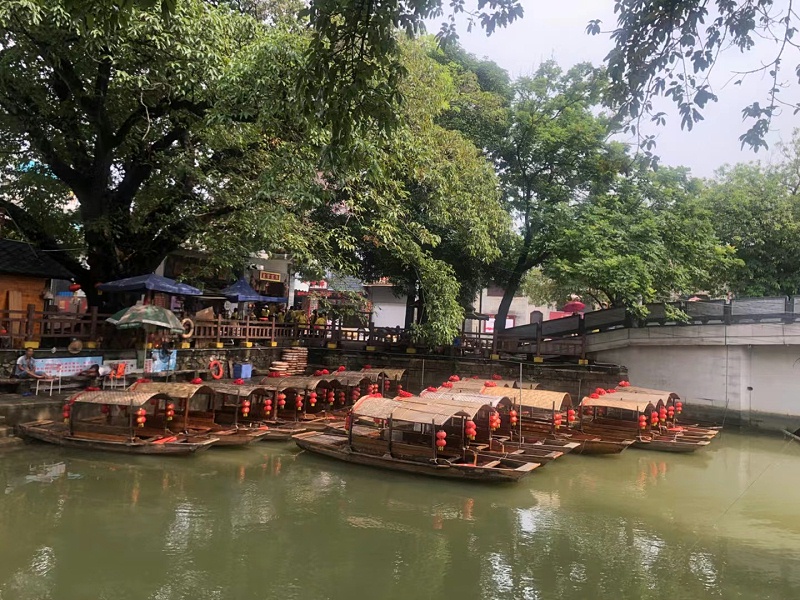 嘉友顺德美食之旅，用优质食品传递幸福，建设具匠心且快乐的团队 (6)