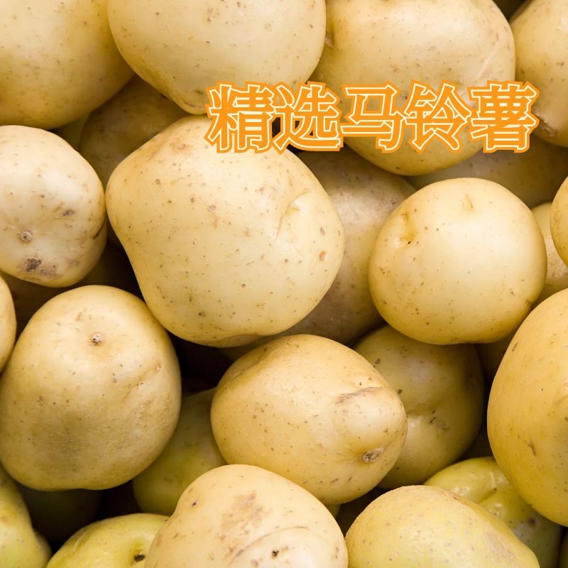 一片一片停不下来的土豆小饼干！薄、香、脆让人流连忘返